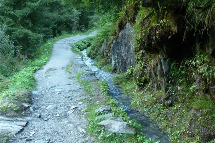 France Alps, Walkers Haute Route (Chamonix to Zermatt), Path and Bisse (irrigation channel) between Col de la Forclaz and Chalet du Glacier - 25th August 2015, Walkopedia